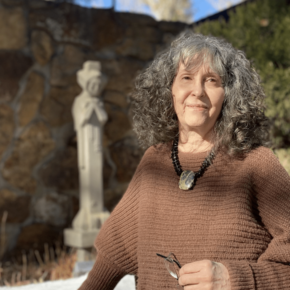 Amy L. Cook-Porter